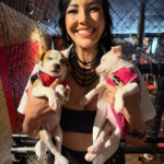 Do Hobby à Indústria: Dutra Máquinas se consolida como o “Paraíso das Ferramentas” em Mogi das Cruzes