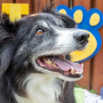 Projeto “Rua Mais Feliz” Abre Calendário de 2026 na Vila Lavínia