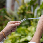 Mogi abre vagas de estágio em Direito com inscrições a partir desta segunda (23)