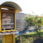 Faxina Geral: Mutirão de zeladoria percorre bairros de Mogi para combater mato alto