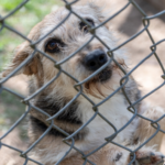 Caps II inicia atendimentos em novo endereço em Braz Cubas