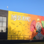 Suzano atinge marca de 15 mil lâmpadas de LED e caminha para cobertura total