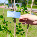 Saúde de Mogi lança campanha “Quando um se cuida, todos se protegem” contra a meningite