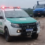 Suzano prorroga vencimentos e facilita acesso ao carnê digital