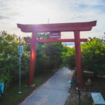 Prefeita Mara Bertaiolli lança programa para 4 mil idosos em Mogi das Cruzes