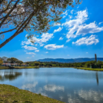 Suzano celebra avanços em educação inclusiva e tecnologia no Dia Internacional da Síndrome de Down