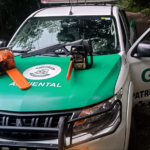 De Suzano para o mundo: artista Vinícius Ripa inaugura exposição em Lisboa