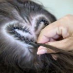 Programa Conduz abre inscrições para oficinas gratuitas de Bordado e Costura