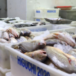 Suzanão recebe final da Copa dos Campeões e festa da base nesta quinta-feira