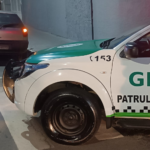 GCM de Mogi das Cruzes retira quase 1,5 mil porções de drogas de circulação em domingo de operações