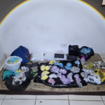 Itaquaquecetuba promove ciclo de palestras sobre reciclagem e economia circular