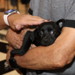 Atenção, produtor: Suzano alerta sobre importância de receber equipes do ‘Rotas Rurais’