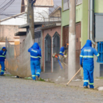Fazenda Aya recebe mutirão de consultas e vacinação neste sábado