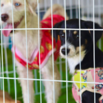 Prefeito vistoria montagem das salas para inauguração neste semestre