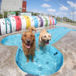 Escolas de Suzano recebem novos instrumentos musicais