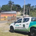 Recesso escolar em Suzano: rede municipal inicia pausa estratégica para mais de 26 mil alunos