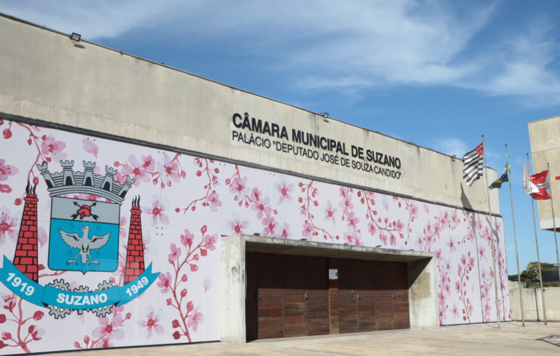 Câmara de Suzano vota projeto que institui o Dia Municipal Feminicídio Zero