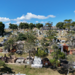 Orçamento de Suzano deve saltar 100% em sete anos, aponta projeto da LOA 2027