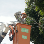 Mogi das Cruzes encerra ciclo de formações para a construção do novo Plano Municipal de Educação